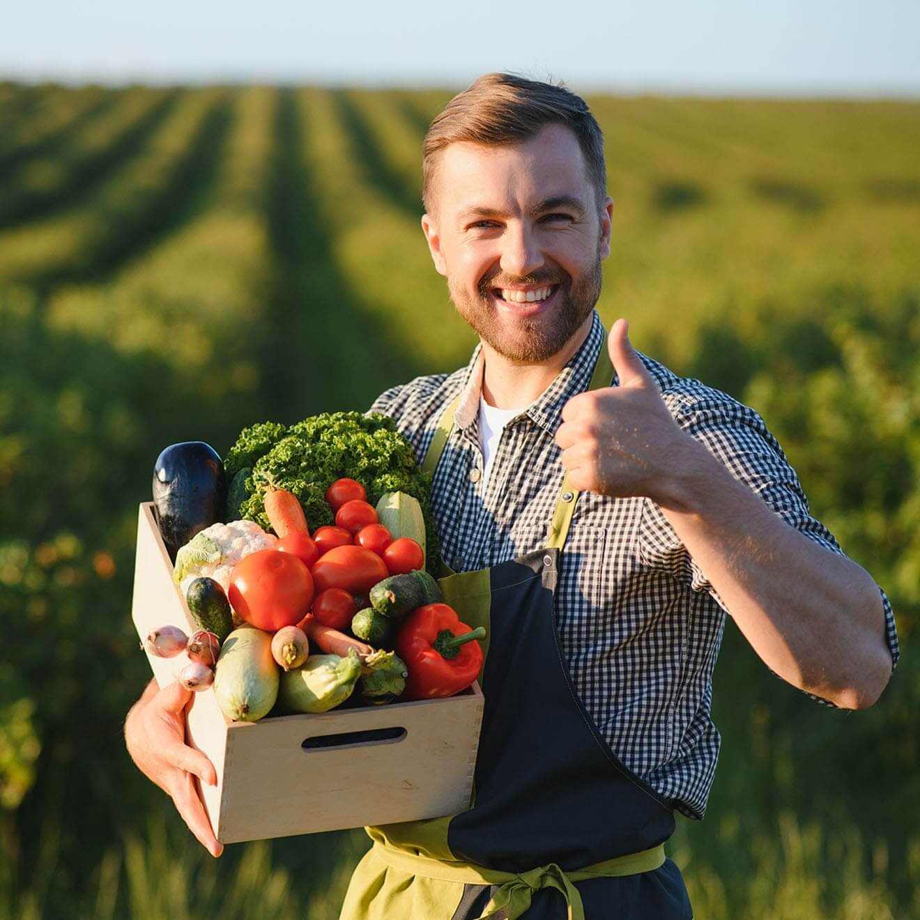 Great bulk recipes to help use all your organic vegetables