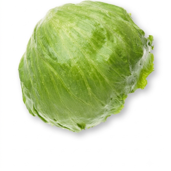 Iceberg Lettuce