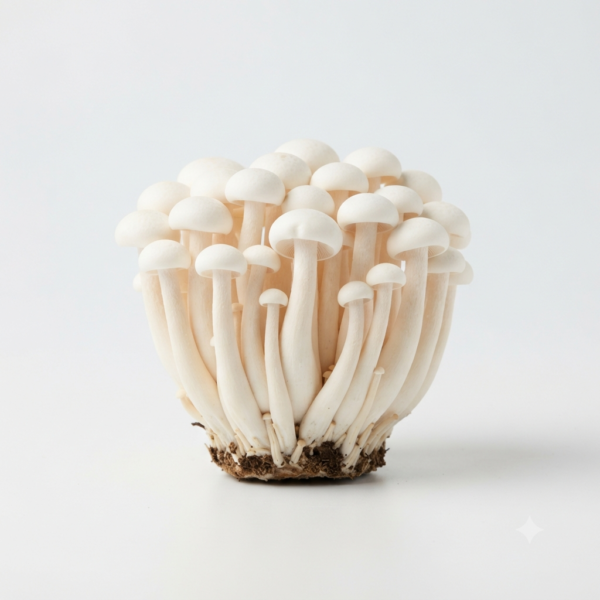 Fresh White Shimeji Mushrooms