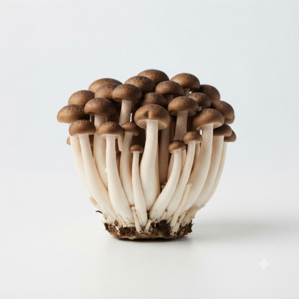 Fresh Brown Shimeji Mushrooms