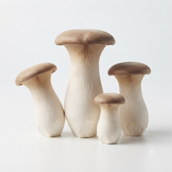 Fresh King Oyster Mushrooms