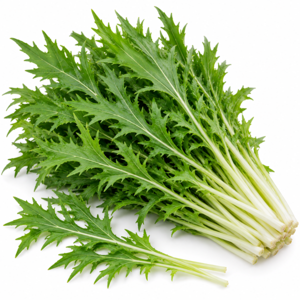 Mizuna Leaf