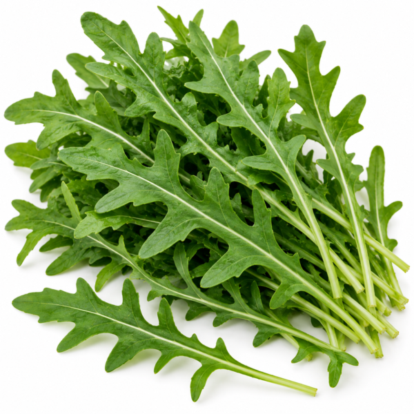 Rocket Leaf