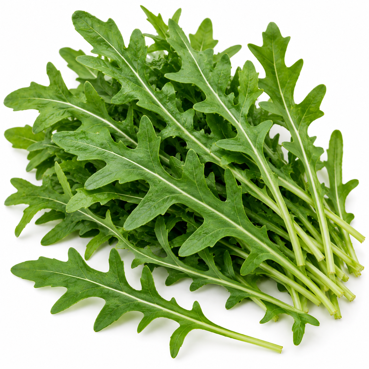 Rocket Leaf 