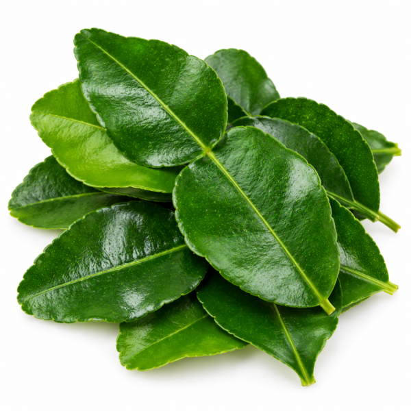 Kaffir Lime Leaves