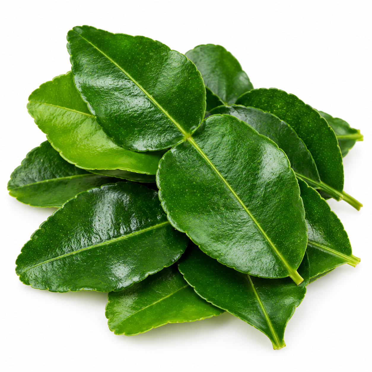 Kaffir Lime Leaves 