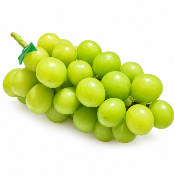 Green Muscat
