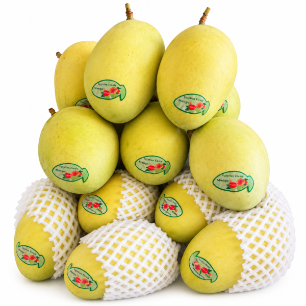 Egyptian Ewais Mango